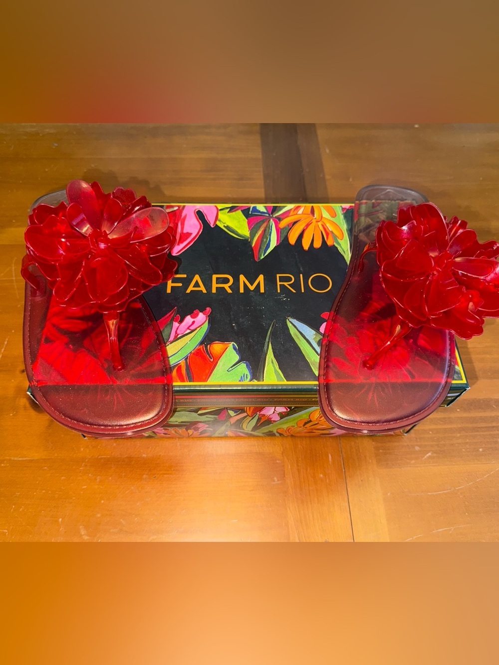 Farm Rio Red Flower Jelly Flat Sandal US 6/7 NWB Euro Summer Chic Luxe Indie
